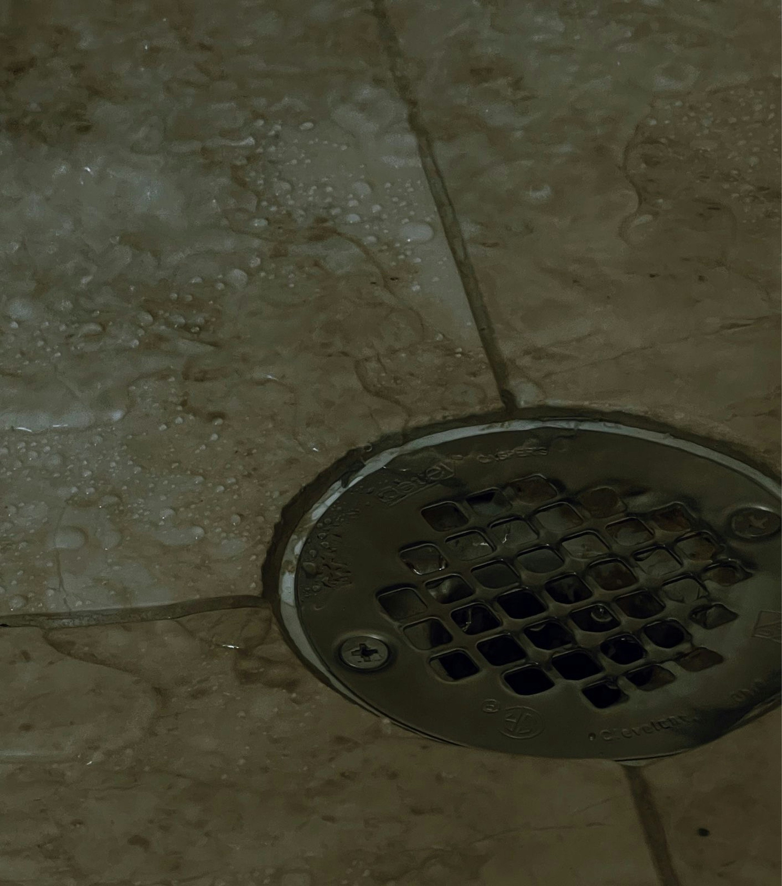 What To Do When You Have A Clogged Shower Drain?